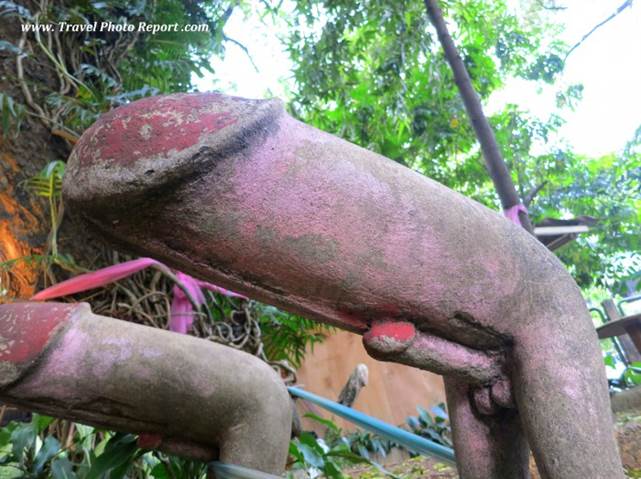 Big penis with small penis