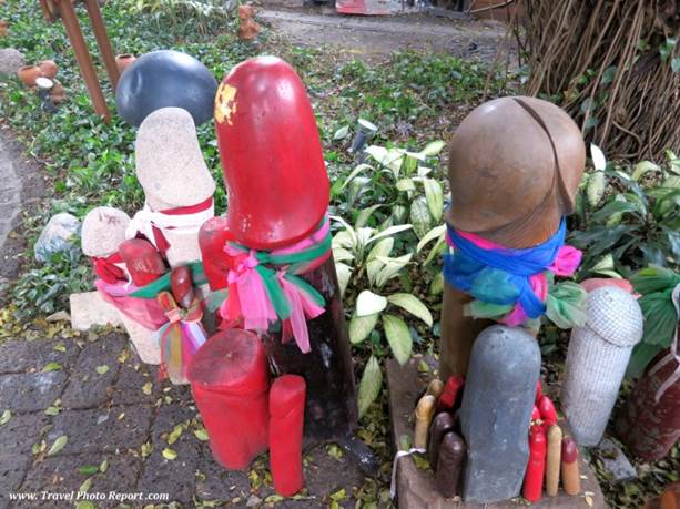 Family of penises