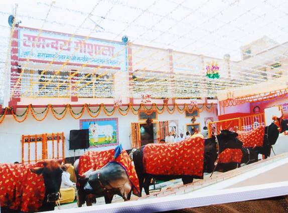 http://www.bharatmatamandir.co.in/wp-content/gallery/gaushala/nav-nirmit-gaushala-1.jpg